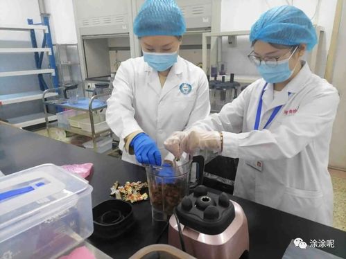 食品檢驗員證怎么輕松速考下來難度怎么樣