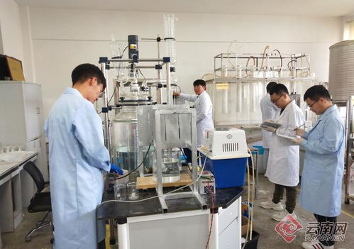 追夢(mèng)綠水青山 看昆明理工大學(xué)科研團(tuán)隊(duì)如何低碳減排創(chuàng)發(fā)展